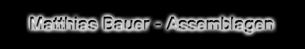 Assemblagen von Matthias Bauer